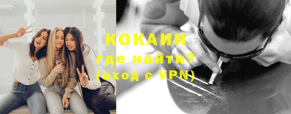 сатива Инта